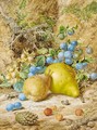 Still-life of pears, damson, beech nuts and horse chestnuts on a bank - Thomas Collier