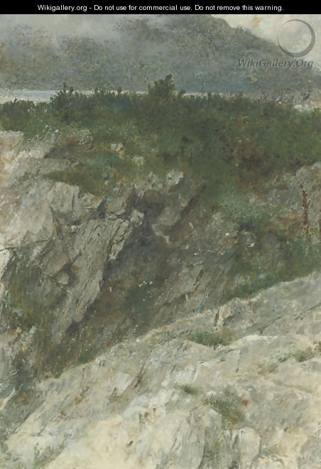 Study of a rocky promontory in the Highlands - Thomas Faed
