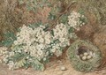 Still life of apple blossom and a bird's nest on a mossy bank - Thomas Collier