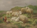 Sheep and Roosters in a Pasture - Theo van Sluys