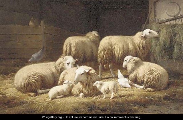 Moutons dans la bergerie - Theo van Sluys