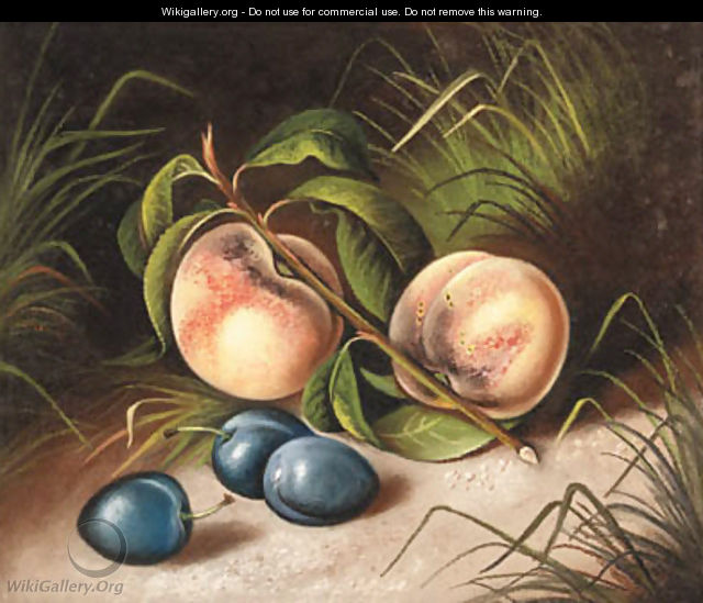 Peaches and Plums - Susan C. Waters