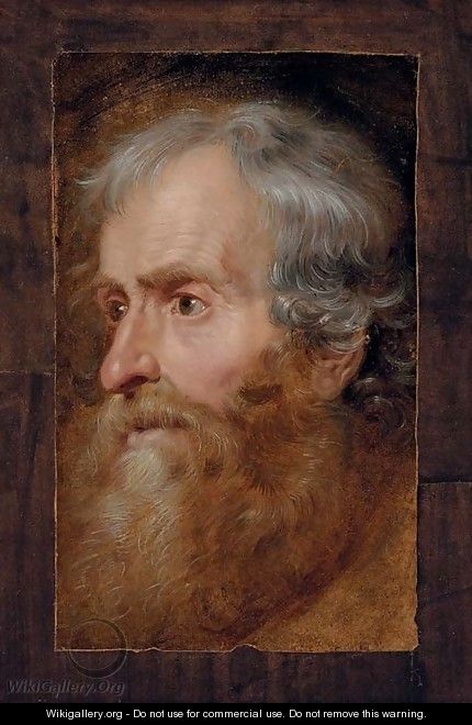 Head of an old man - (after) Dyck, Sir Anthony van