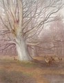 Deer in a beech wood - Sydney Herbert