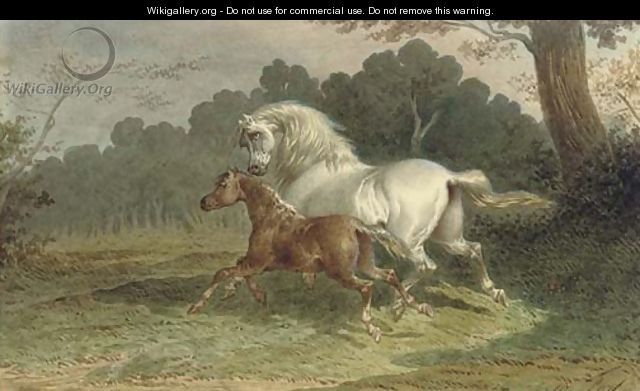 A grey mare galloping through a meadow with her foal at her side - Theodore Fort