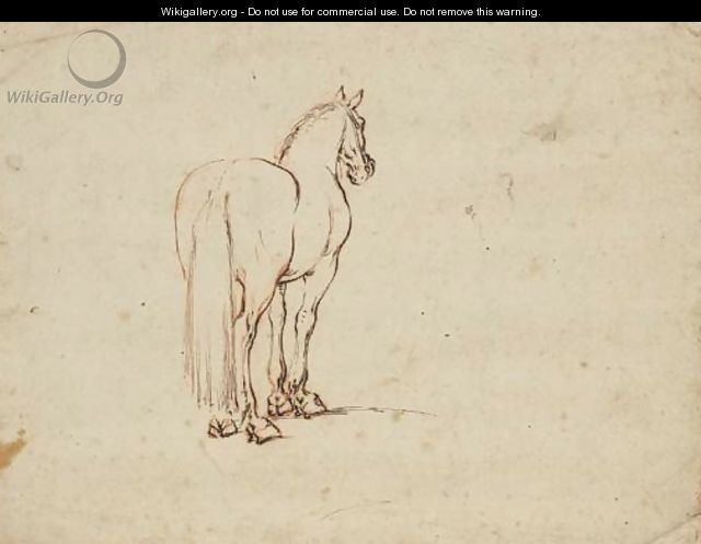 A horse, seen from behind - Stefano della Bella