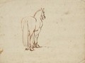 A horse, seen from behind - Stefano della Bella