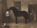 Gallardo, a bridled horse held by a groom - Spanish School