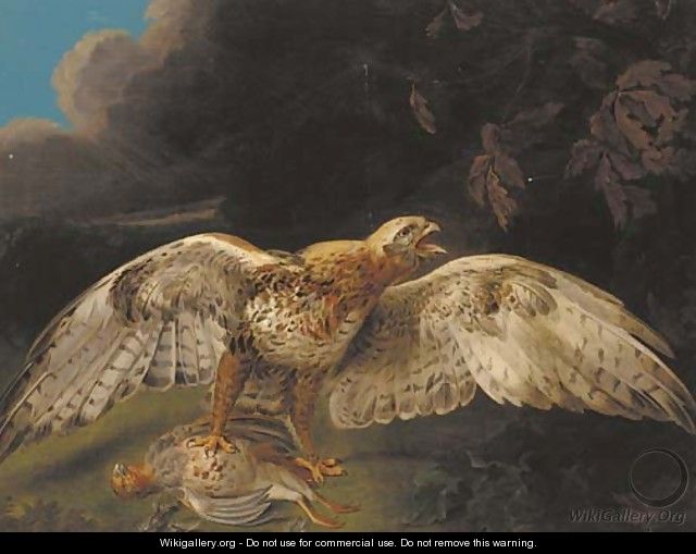 A hawk guarding his prey - Stephen Elmer