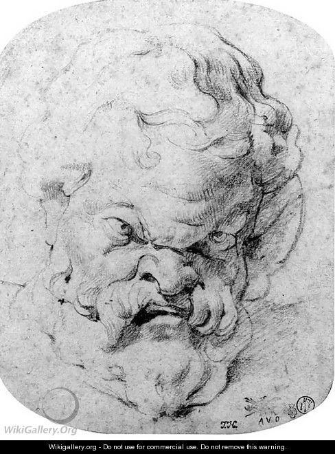 The head of Silenus, after the antique - Peter Paul Rubens
