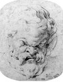 The head of Silenus, after the antique - Peter Paul Rubens