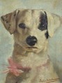 A Jackrussel - Sophie Hirschmann