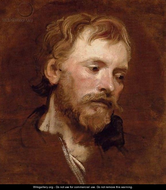 A bearded man, a study - Sir Anthony Van Dyck