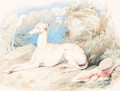 A greyhound in an arcadian landscape - Sir Edwin Henry Landseer