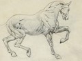 Ecorche figure of a horse - Sir Edward Coley Burne-Jones