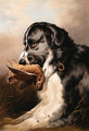 Retriever and Woodcock - Sir Edwin Henry Landseer