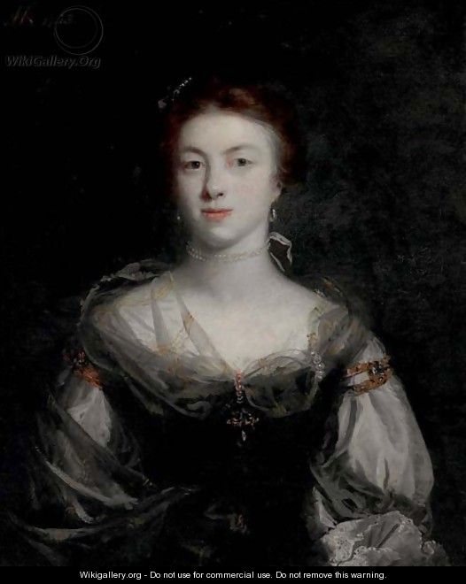Portrait of a lady 2 - Sir Joshua Reynolds