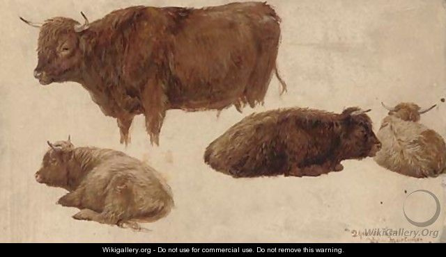 Highland cattle studies - James Lawton Wingate
