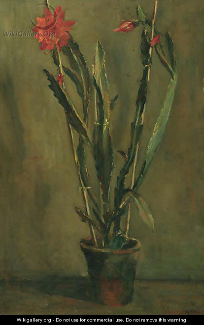 Flowering cactus in a pot - Willem Maris