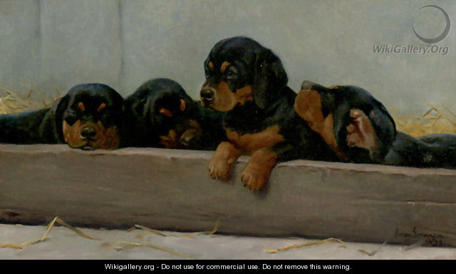 Dachshund Puppies - Niels Simonsen