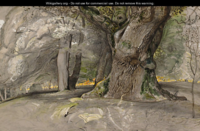 Oak tree and beech, Lullingstone Park - Samuel Palmer