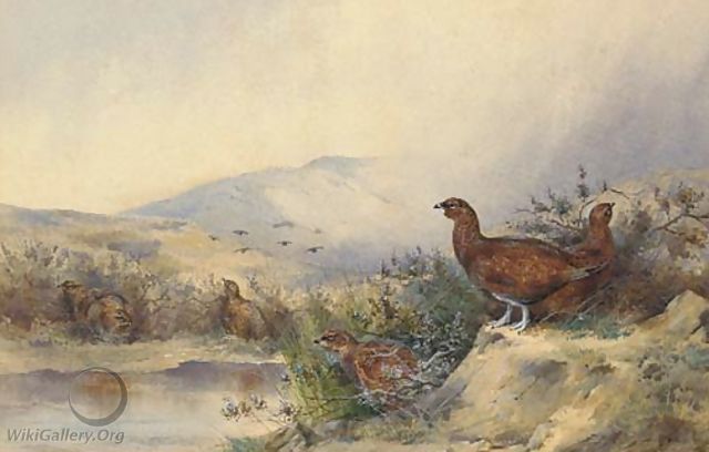 Pheasant - Samuel Wilson