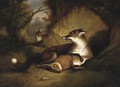The fox's lair - John Samuel Raven