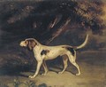 A favourite hound - John Samuel Raven