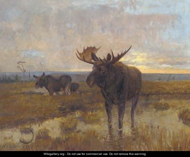Moose on the marshes, dusk - Scandanavian School