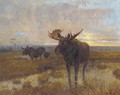 Moose on the marshes, dusk - Scandanavian School