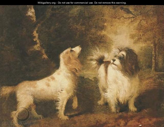 A Spaniel and a Terrier in a landscape - Sawrey Gilpin