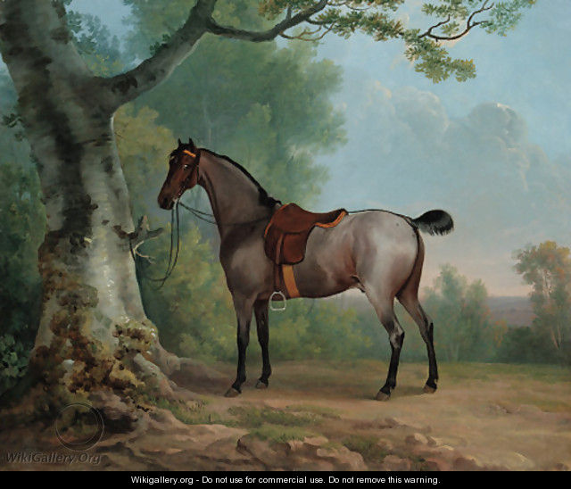 A saddled strawberry roan hunter, tethered to a tree, in a landscape - Sawrey Gilpin
