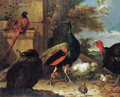 A peacock, a peahen, a pheasant, a turkey, a cockerel and chicks by a wall, a landscape beyond - Melchior de Hondecoeter