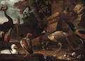 An East African Crane, a White Snow Goose, a Dutch Goose - Melchior D'Hondecoeter