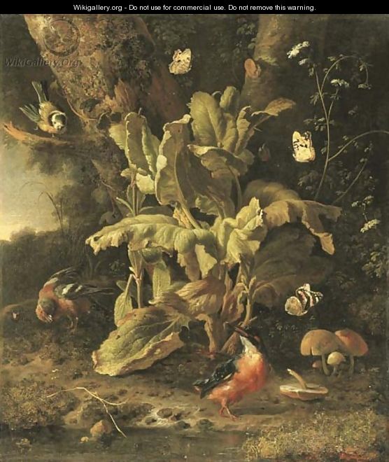 A forest floor still life with a blue tit - Melchior D