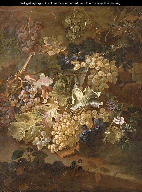 Grapes on the vine and blackberries on a stone ledge - Maximilian Pfeiler