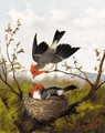 The cardinal's nest - Michaelangelo Meucci