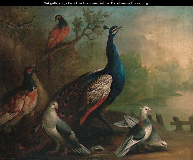 A Peacock, Doves and Pheasants by a Lake - Marmaduke Cradock