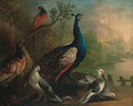 A Peacock, Doves and Pheasants by a Lake - Marmaduke Cradock