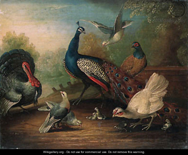 A Peacock, a Turkey, a Hen, Doves, Chicks and a Pheasant by a Lake - Marmaduke Cradock