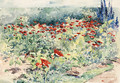 Garden Poppies, Isle of Shoals - Maria Matilda Brooks