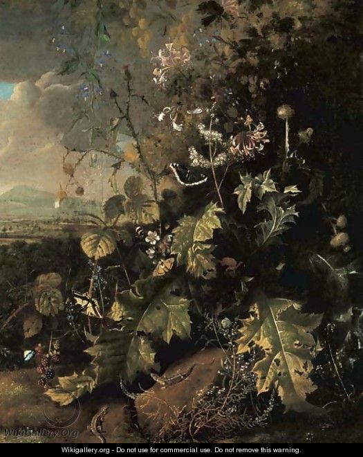 A forest floor with butterflies and lizards - Mathias Withoos