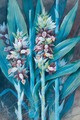 Ginger Plant - Marian Ellis Rowan