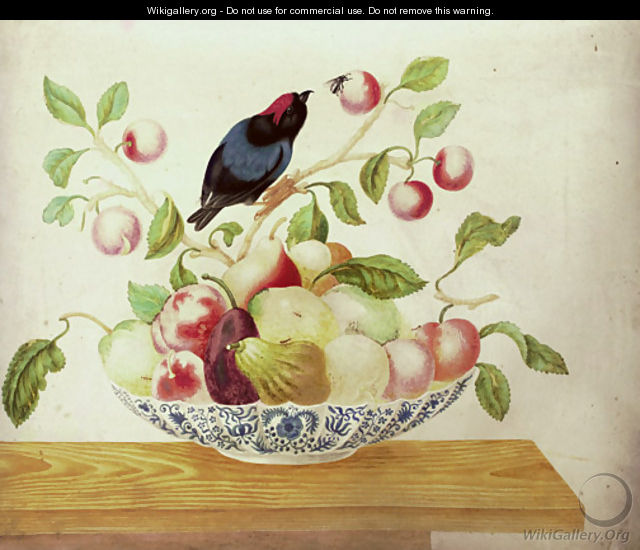 Still life with a Bee-eater perched a branch arranged in a Delft bowl with cherries, pears, apples, peaches and figs - Maria Sibylla Merian