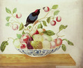 Still life with a Bee-eater perched a branch arranged in a Delft bowl with cherries, pears, apples, peaches and figs - Maria Sibylla Merian