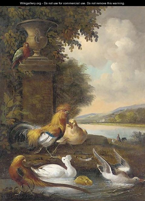 Cockerels, a hen, ducks, a pheasant, and a parakeet, in a river landscape - (after) Melchior De Hondecoeter