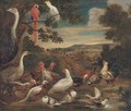 An ostrich, parrots, turkeys, woodcock, a pheasant and other birds in a landscape - (after) Melchior De Hondecoeter