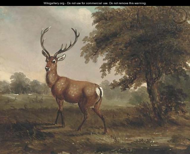 A stag in a landscape - (after) James Ward