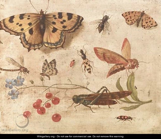 Butterflies, a moth, a cricket, a dragonfly, a beetle and berries - Jan van Kessel
