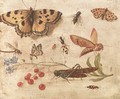 Butterflies, a moth, a cricket, a dragonfly, a beetle and berries - Jan van Kessel